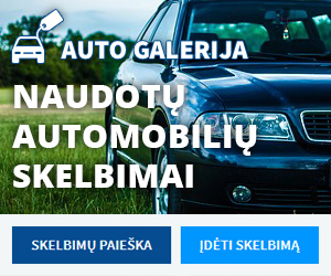 darbas siluteje