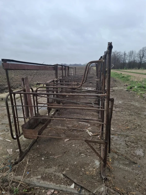  Karvių melžimo aikštelė 6 vietoms – tvarkingas sprendimas!