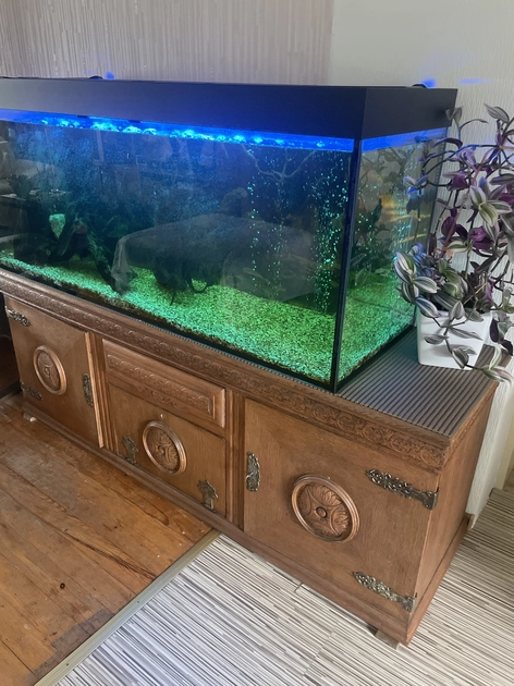  Akvariumas Parduodu: didelis 450L už 300 eurų
