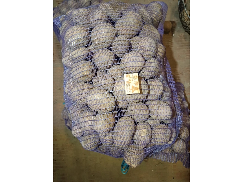  Didelės bulvės pigiau – 30kg už 10€!