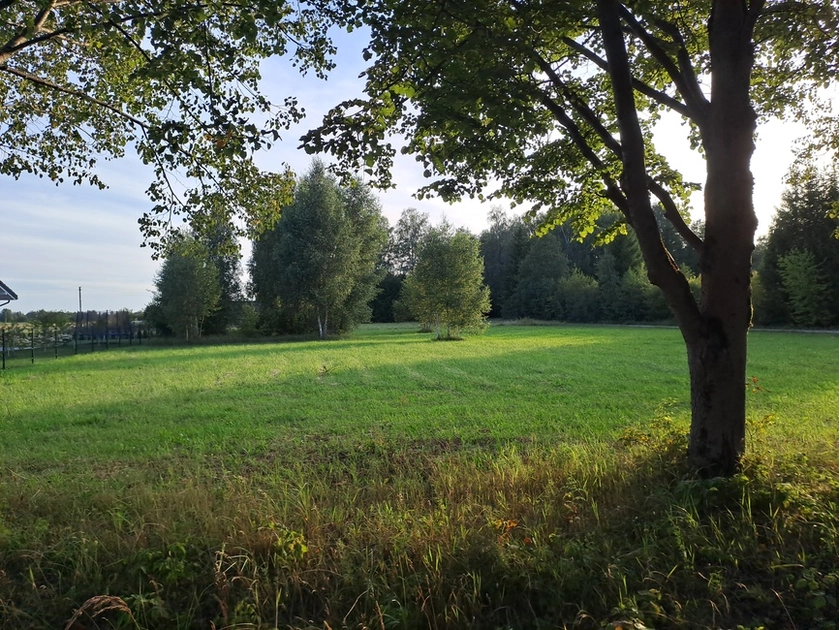  Puiki investicija Macikuose, kaina 750 eurų/arą