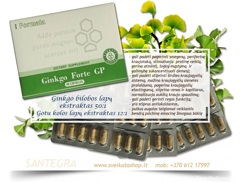  Pagerink atmintį ir koncentraciją su Ginkgo Forte GP