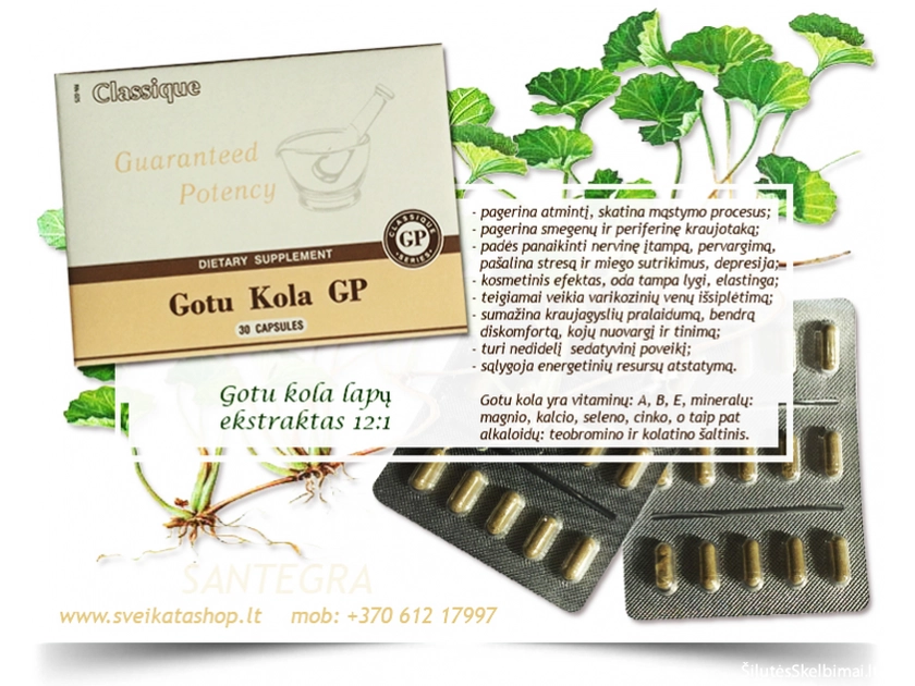 Atminties stiprinimas su Gotu Kola GP 30