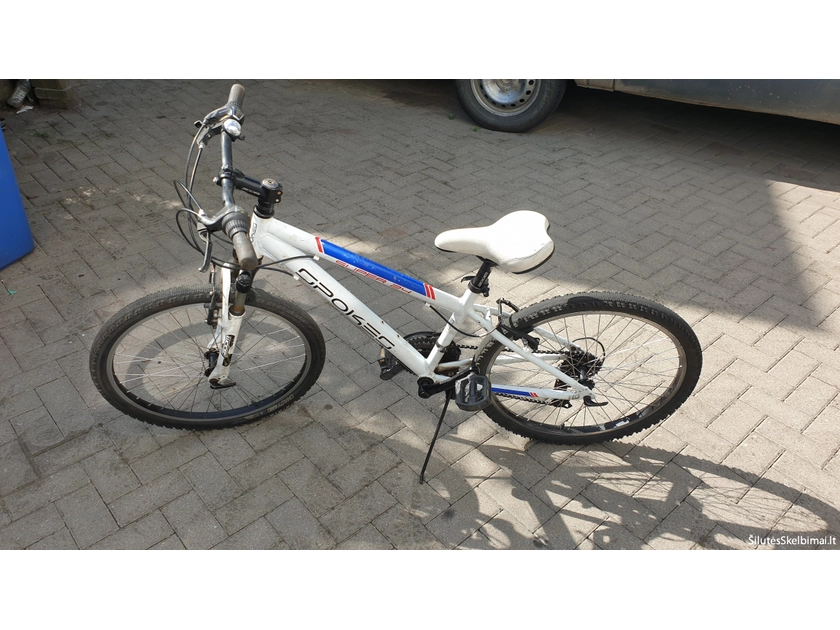  24 dydžio ratai – tobula važiavimo patirtis!