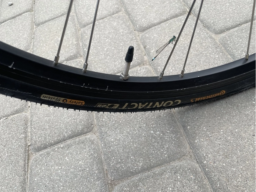  Atrask naują dviračio patirtį – patikimas ir patogus