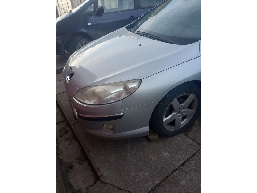  Išskirtinės Peugeot 407 dalys 2.0 100 kW