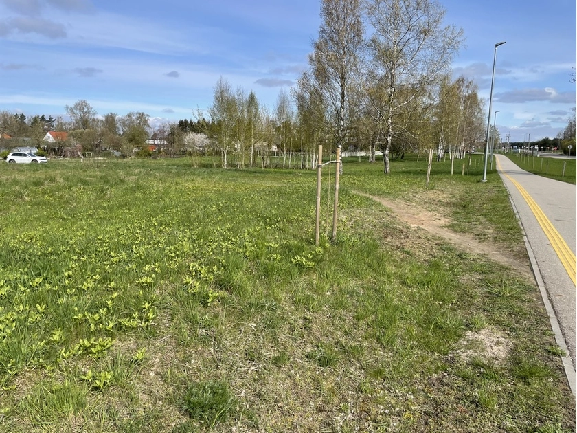 Išskirtinis sklypas Traksėdžiuose – 50 arų prie Klaipėdos gatvės