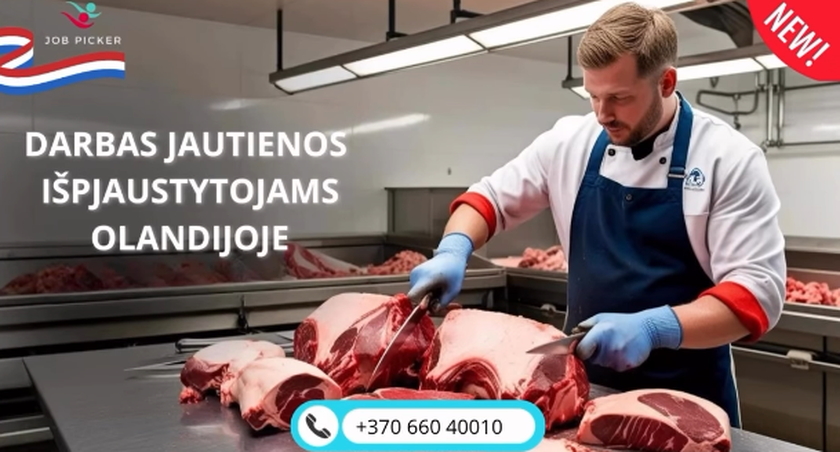  Jautienos išpjaustytojas Nyderlanduose – puiki karjeros galimybė!