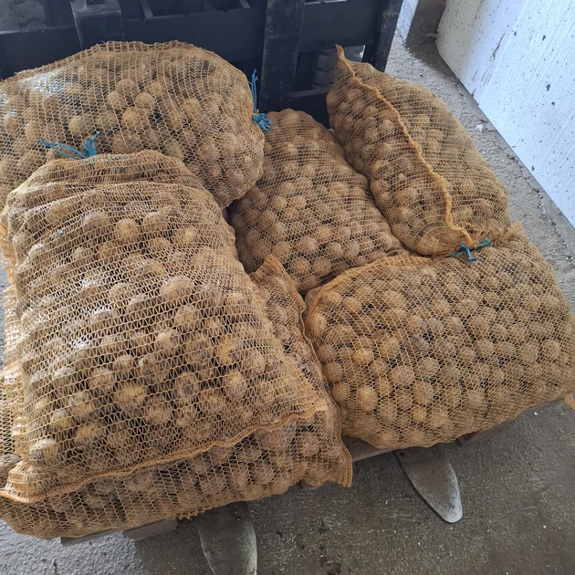  Mažos bulvės už 0,10 ct kg – puikus pasirinkimas namų virtuvėje