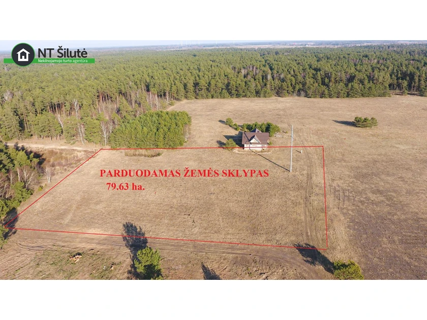 Graži žemė šalia miško ir prūdo – puiki investicija!