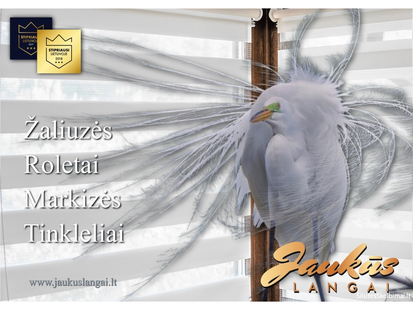  Žaliuzės ir roletai – jūsų namų tobulinimo pradžia!