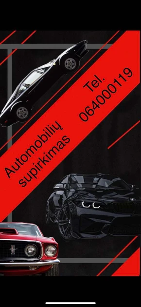  Perkame automobilius - greitai, patogiai, be streso!
