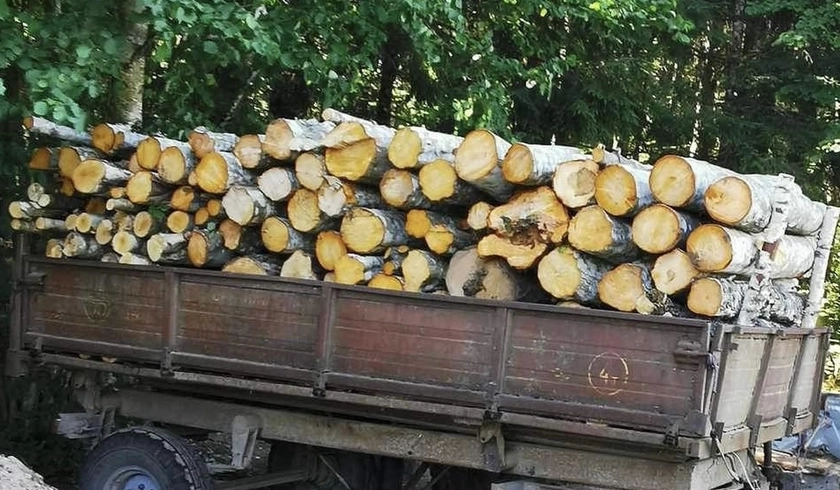  Pigios malkos rasteliais – šilta ir patogu!