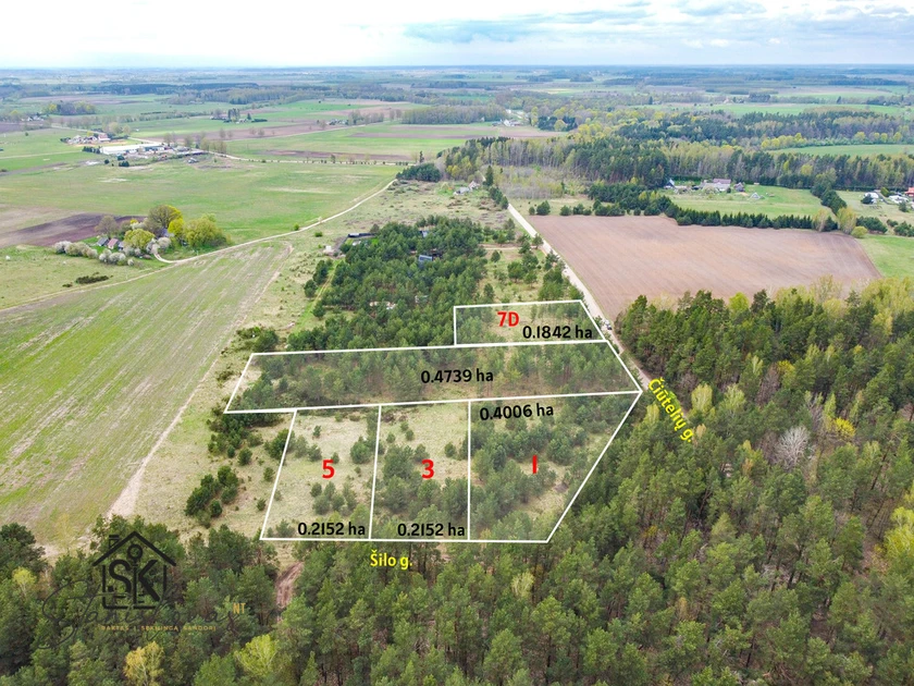 Namų valda tarp pušų – puikus pasirinkimas!