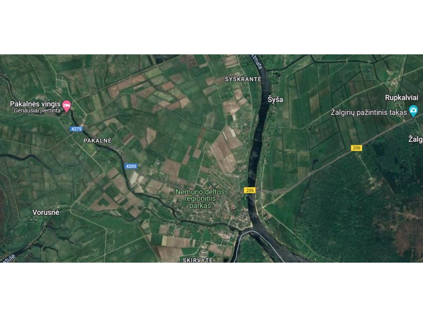  Atviras laukas Rusnėje – puikus žemės ūkio sklypas