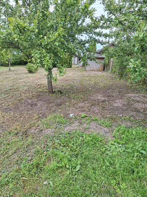  Sodo žolės pjovimas ir tvarkymas nuo 5eur/aras