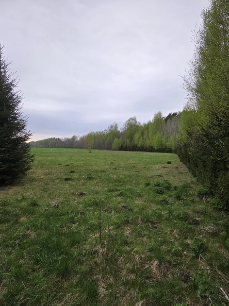  Ūkinės paskirties sklypas šalia miško – ramybė ir gamta!