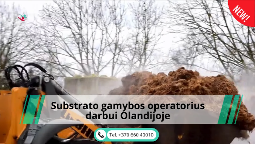  Substrato gamybos operatoriaus darbas Olandijoje – puiki galimybė!