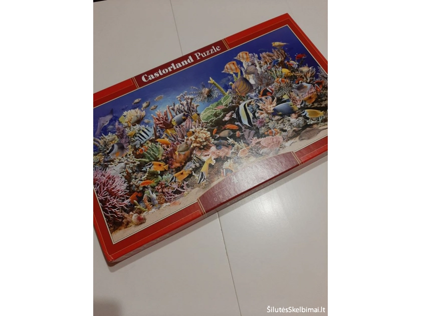  Iššūkis mėgėjams: 4000 detalių! Tik 10€!
