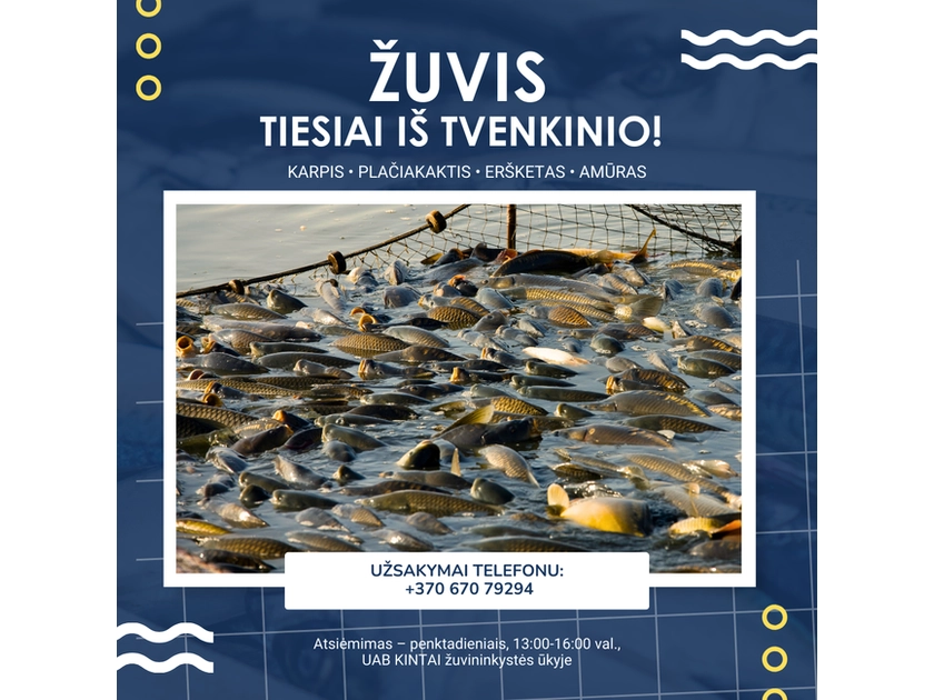  Šviežia žuvis tiesiai iš tvenkinio – nepraleisk!