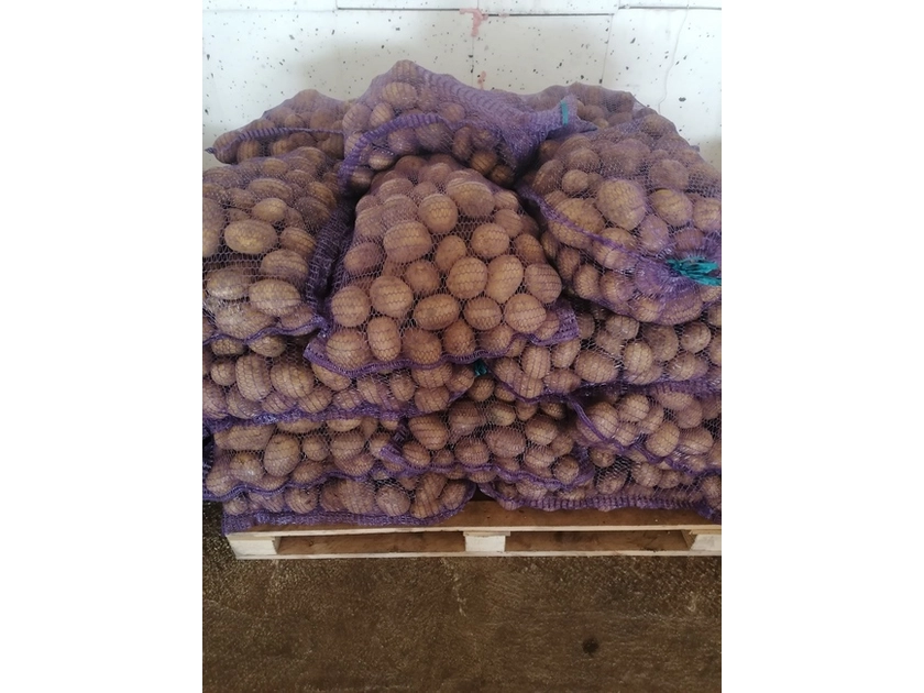  Skanios bulvės Vineta – didelės tik 0.40€, mažos 0.10€!