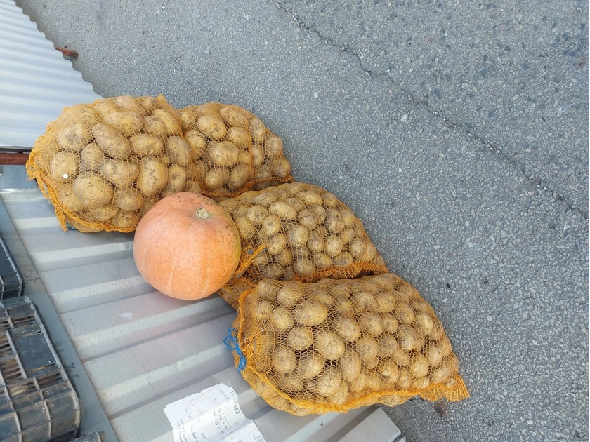  Šviežios bulvės tiesiai iš ūkio – tik 10€ už 25 kg!