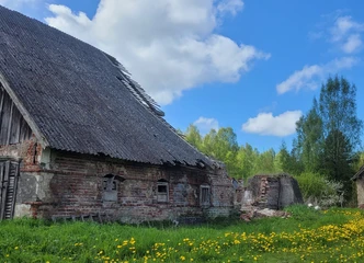 1 kambario butas Šyšgirių k. su remontu pagal jūsų skonį!