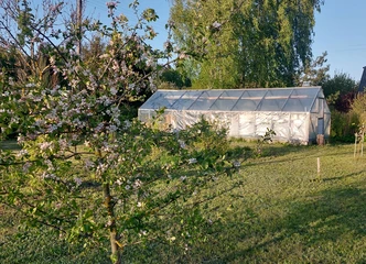 12 arų sodo rojus: vaismedžiai, šiltnamis ir daugiau!