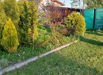 Puikus 12 arų sodas su vaismedžiais ir šiltnamiu!