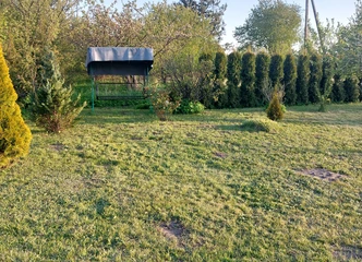 Apsidairykite, 12 arų sodas laukia jūsų!