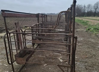 Karvių melžimo aikštelė 6 vietoms – tvarkingas sprendimas!
