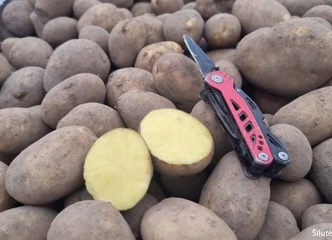 Minimalus užsakymas – 300 kg, pristatome laiku!