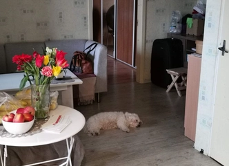 Parduodamas jaukus butas 5 aukšte su nuostabiu vaizdu!