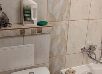 Butas su viskuo, ko reikia – atvyk ir gyvenk!