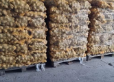 Peržiūrėti skelbimą - Šviežių lietuviškų bulvių prekyba.