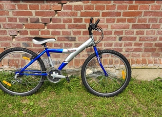 Peržiūrėti skelbimą - dviratis Stinger twin150