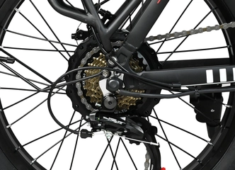 Stilingas ir galingas Fat bike dviratis - važiuok patogiai!
