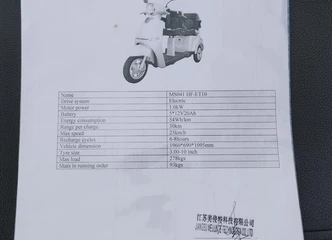 Išskirtinis elektrinis triratis, idealiai tinkantis miestui!