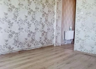 4 k. butas su žeme ir ūkiniais pastatais už 35000€