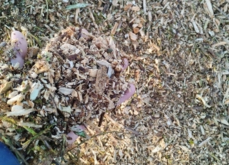 Išspręsk šakų problemą – smulkink iki 13cm!