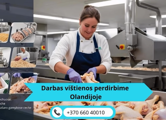 Peržiūrėti skelbimą - Gamybos darbuotojai vištienos fabrike