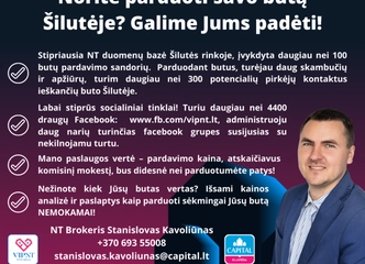 Nemokama NT vertės analizė – patikėkite ekspertui!