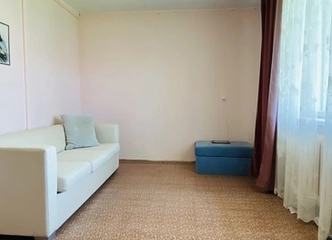 Asfaltuotas privažiavimas ir upelis šalia – gamtos grožis!