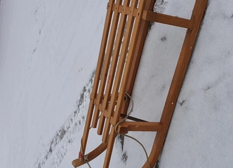 Ieškai rogių? Pasiimk šias ir mėgaukis žiema!