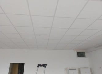 Ekonomiškos lubos su nemokamu pristatymu