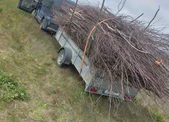 Pradėk dirbti dabar! Kreipkis į mus dėl darbo!