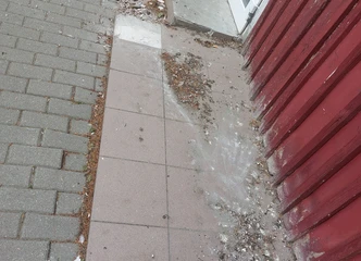 Darbo skelbimai: pradėk naują karjeros etapą!