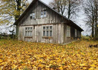 Katyčių kaimo sodyba su erdviu kiemu ir rūsiu