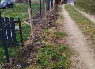 Kelmų frezavimas diskinėmis frezomis efektyviai naikiname kelmus be žemės pažeidimo