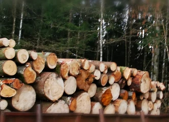 Įsigykite malkas dabar: skaldytos ar rasteliais, vežame!